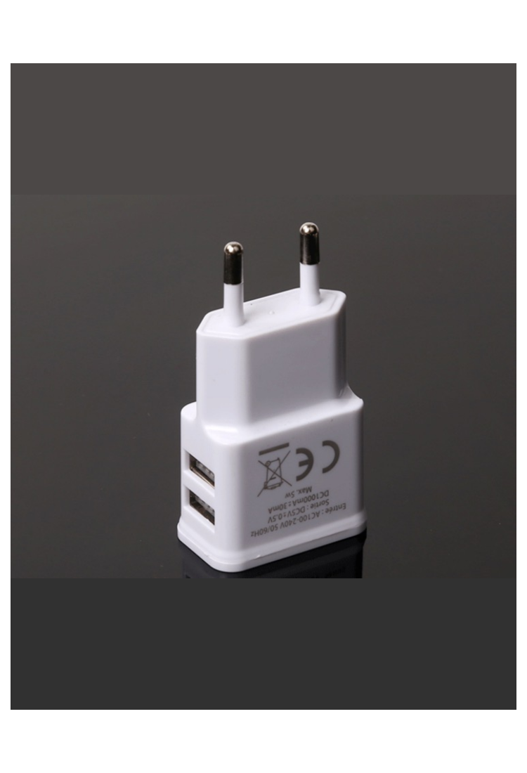 Home Charger with 2 x USB ports white