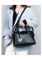 Women's Hand / Shoulder Bag WBC379