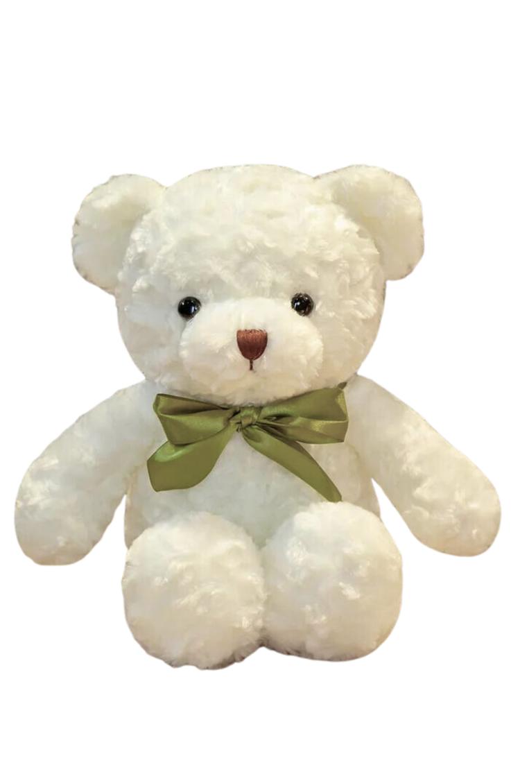 Plush Teddy Bear TOY883