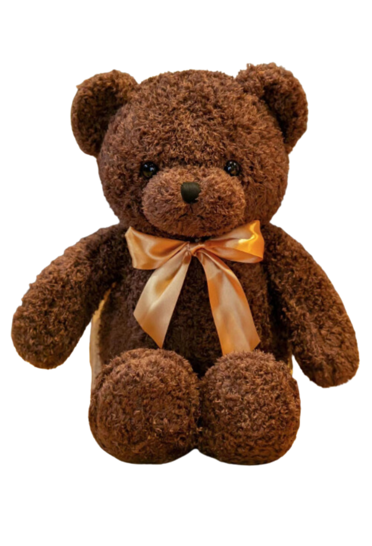 Plush Teddy Bear TOY883