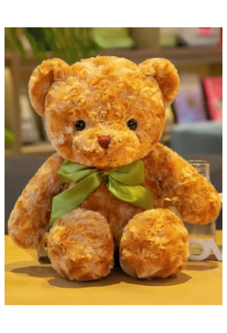 Plush Teddy Bear TOY883