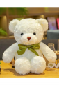 Plush Teddy Bear TOY883