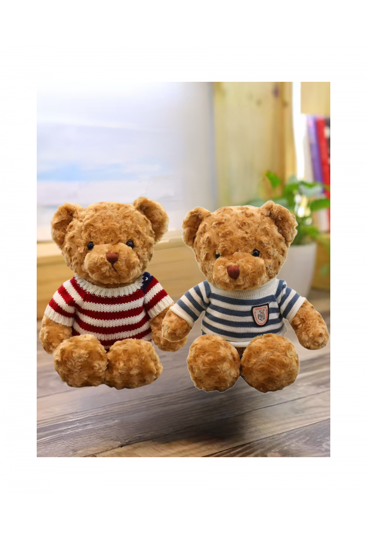 Plush Teddy Bear Big KID919