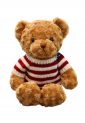 Plush Teddy Bear Big KID919