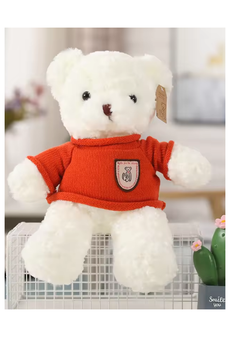 Plush Teddy Bear KID906