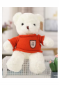 Plush Teddy Bear KID906