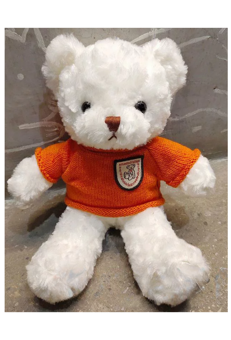 Plush Teddy Bear KID906