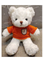 Plush Teddy Bear KID906