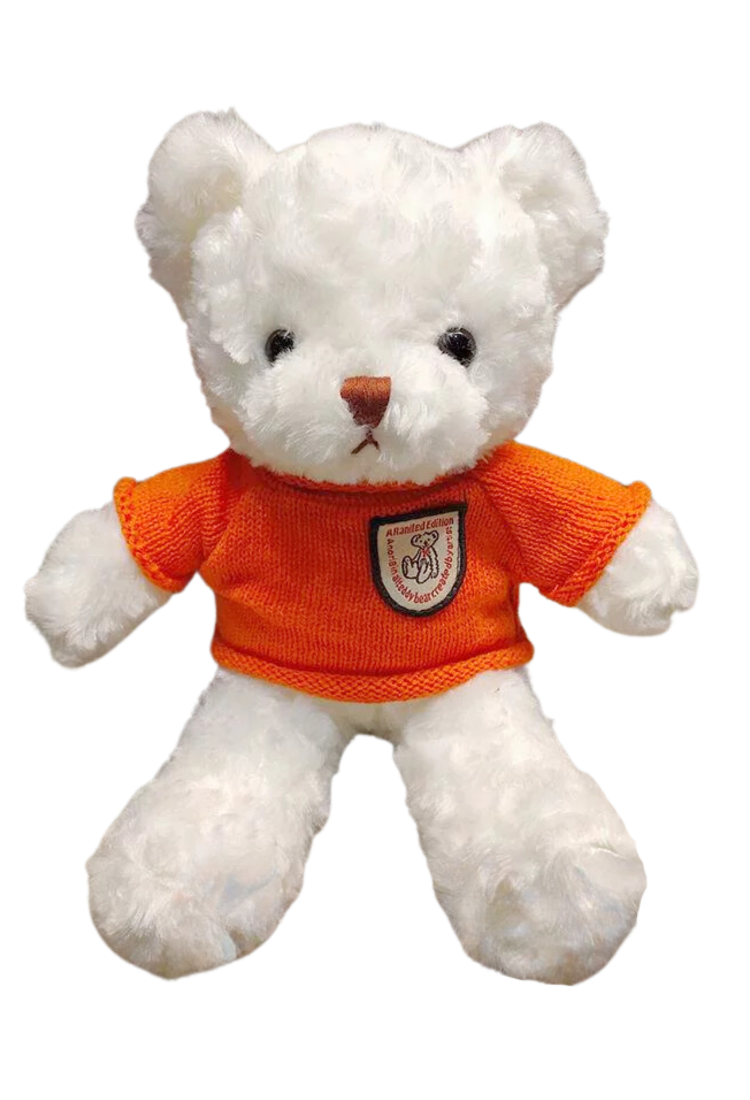 Plush Teddy Bear KID906