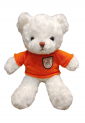 Plush Teddy Bear KID906