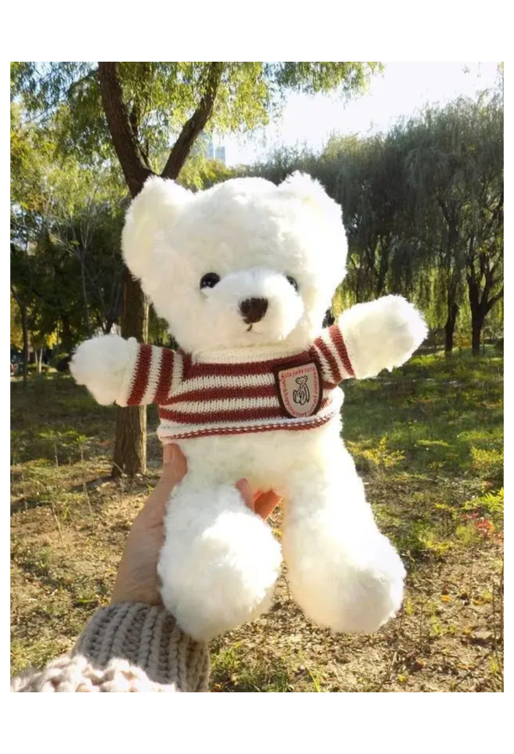 Plush Teddy Bear KID906