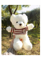 Plush Teddy Bear KID906