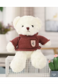 Plush Teddy Bear KID906