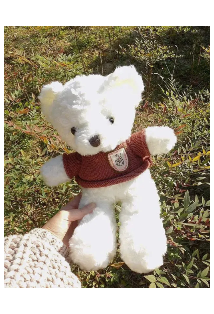 Plush Teddy Bear KID906