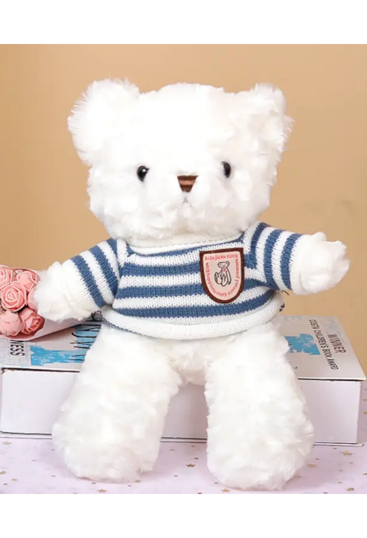 Plush Teddy Bear KID906