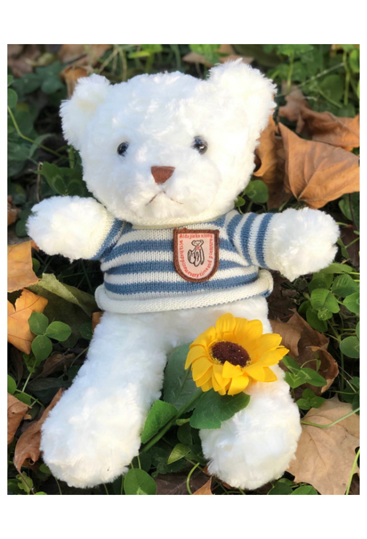 Plush Teddy Bear KID906