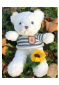 Plush Teddy Bear KID906