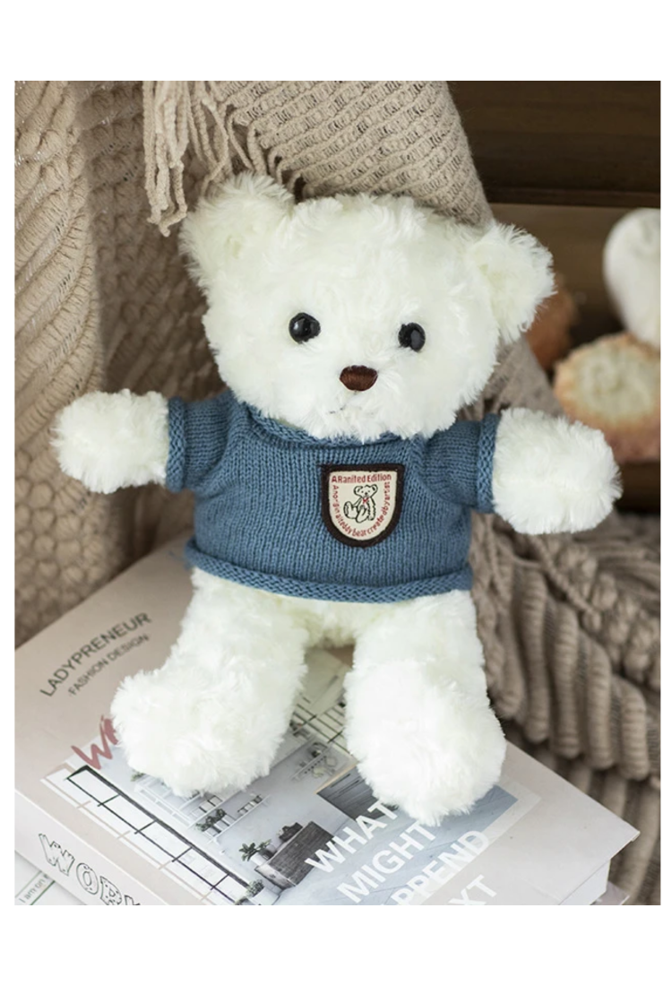 Plush Teddy Bear KID906