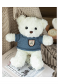 Plush Teddy Bear KID906