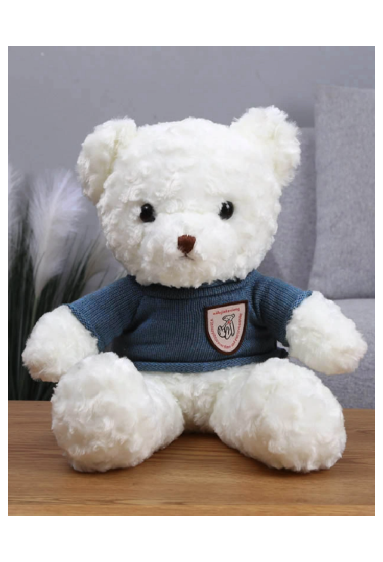 Plush Teddy Bear KID906