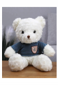 Plush Teddy Bear KID906