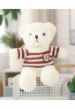 Plush Teddy Bear KID906