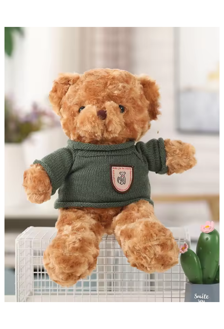 Plush Teddy Bear KID905