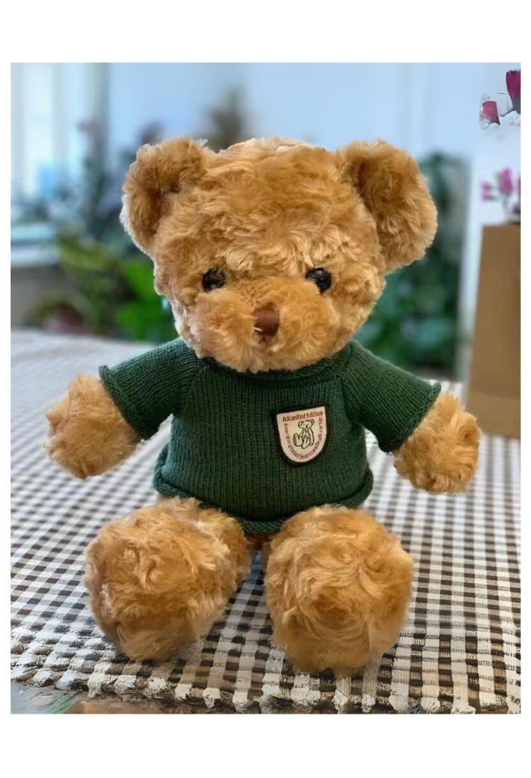 Plush Teddy Bear KID905