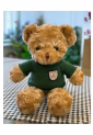 Plush Teddy Bear KID905