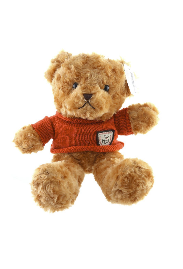 Plush Teddy Bear KID905