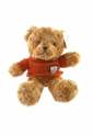 Plush Teddy Bear KID905