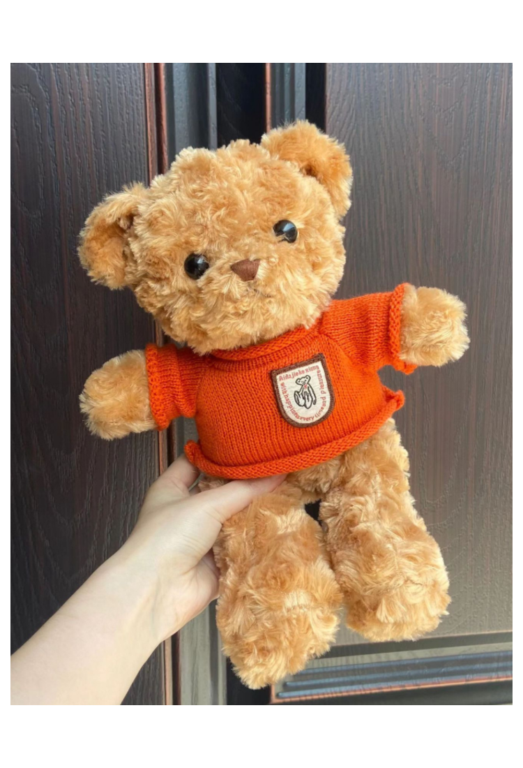 Plush Teddy Bear KID905