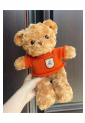 Plush Teddy Bear KID905