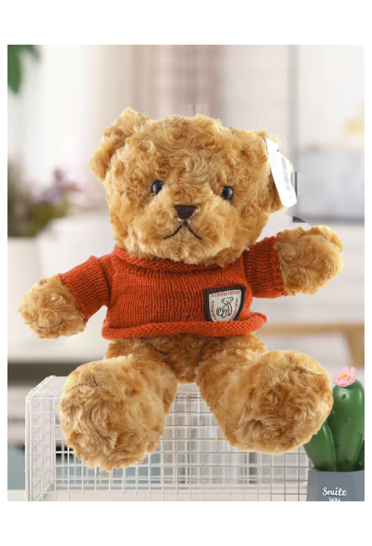 Plush Teddy Bear KID905