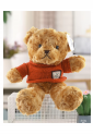 Plush Teddy Bear KID905