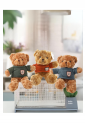 Plush Teddy Bear KID905