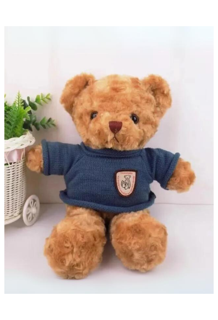 Plush Teddy Bear KID905