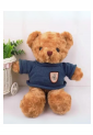 Plush Teddy Bear KID905