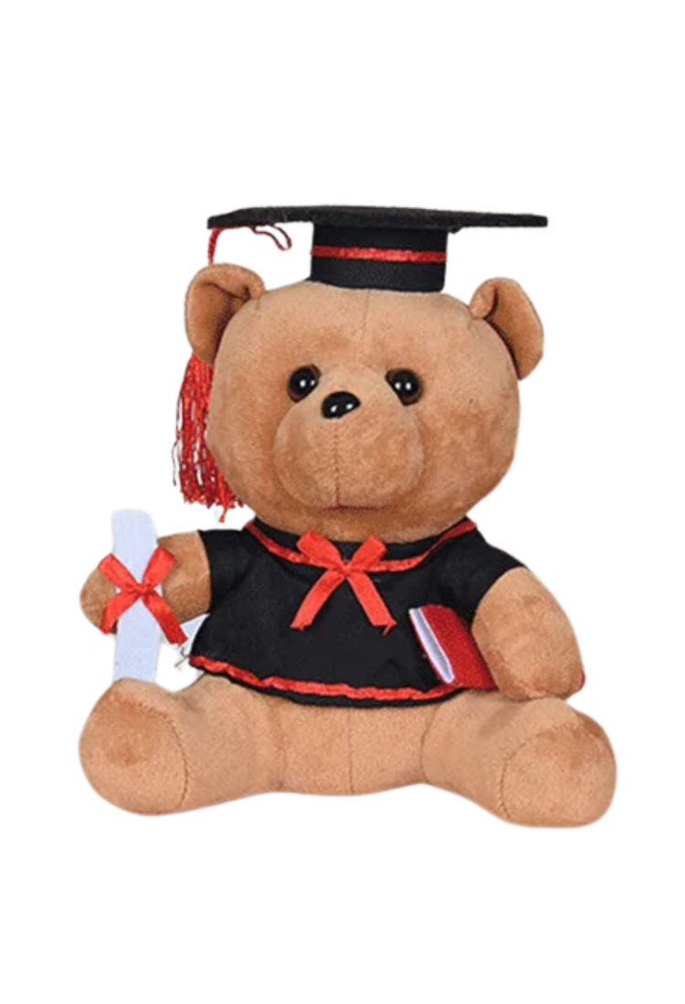 Plush Teddy Bear KID901