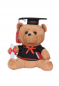 Plush Teddy Bear KID901