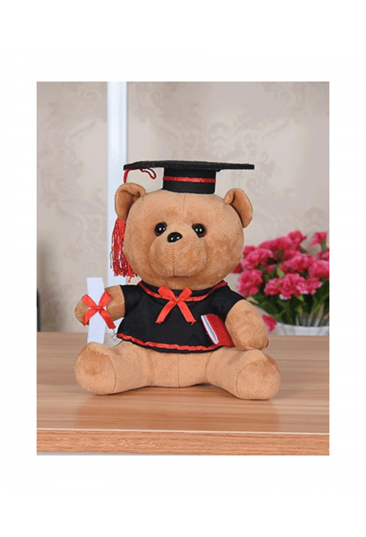 Plush Teddy Bear KID901