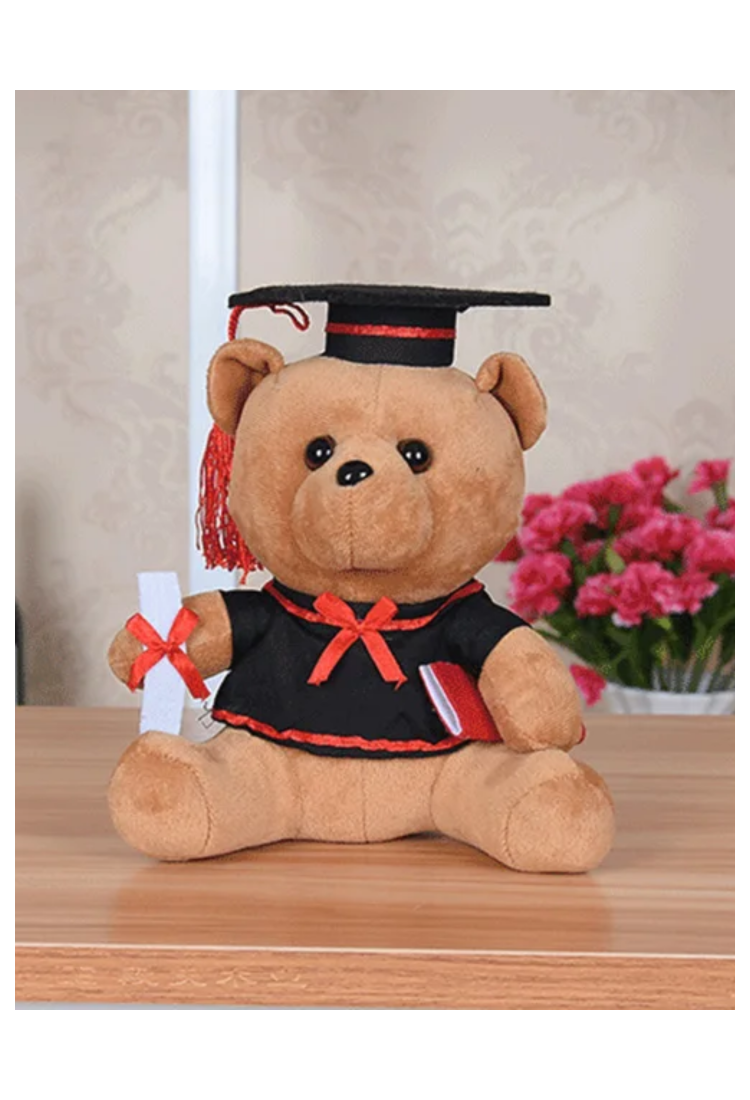 Plush Teddy Bear KID901