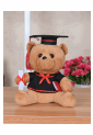 Plush Teddy Bear KID901