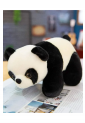 Plush Panda KID895