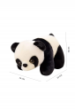 Λούτρινο Panda KID895