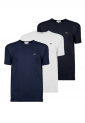 Lacoste shirt LAC637