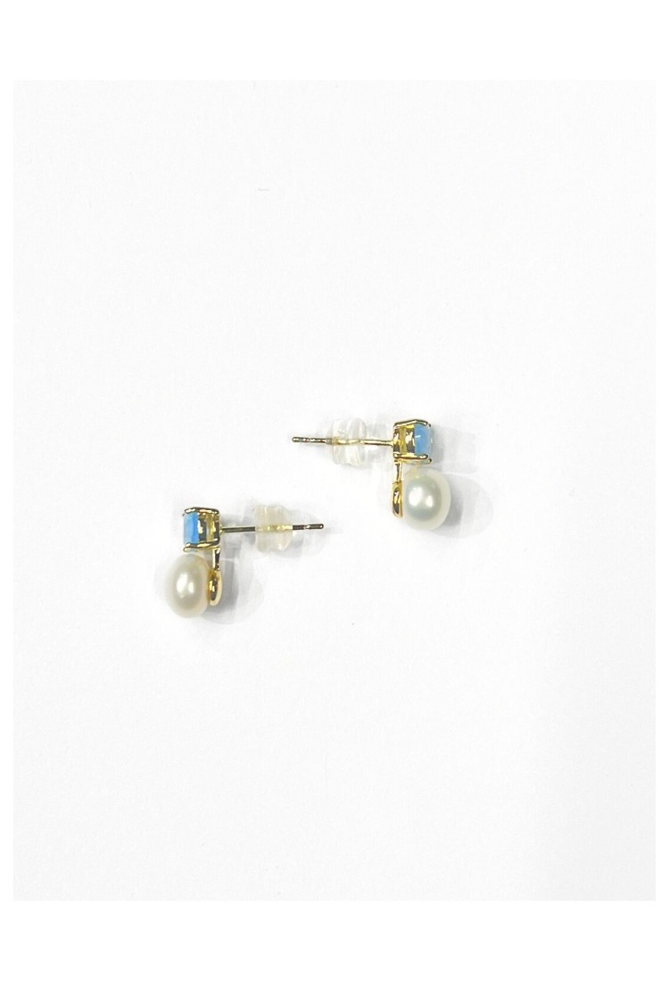Brass Stud Earrings WER335