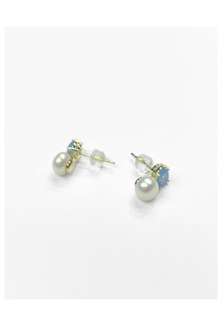 Brass Stud Earrings WER335