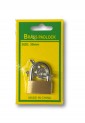 Padlock Small 30mm 525560