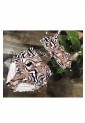 Women's Swimsuit Bikini Set PLUS SIZE WS1214 Women's Swimsuit Bikini Set PLUS SIZE WS1214